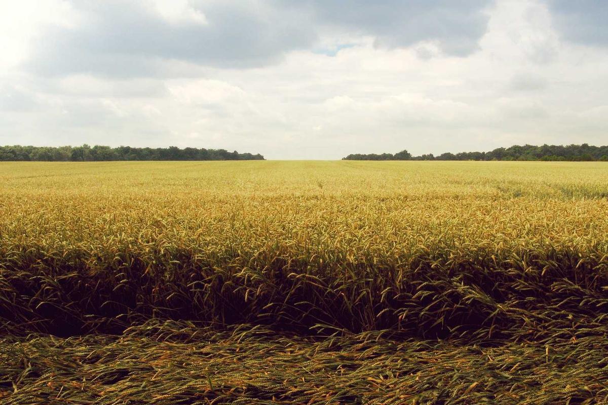 abbonamento iptv illustration and guide