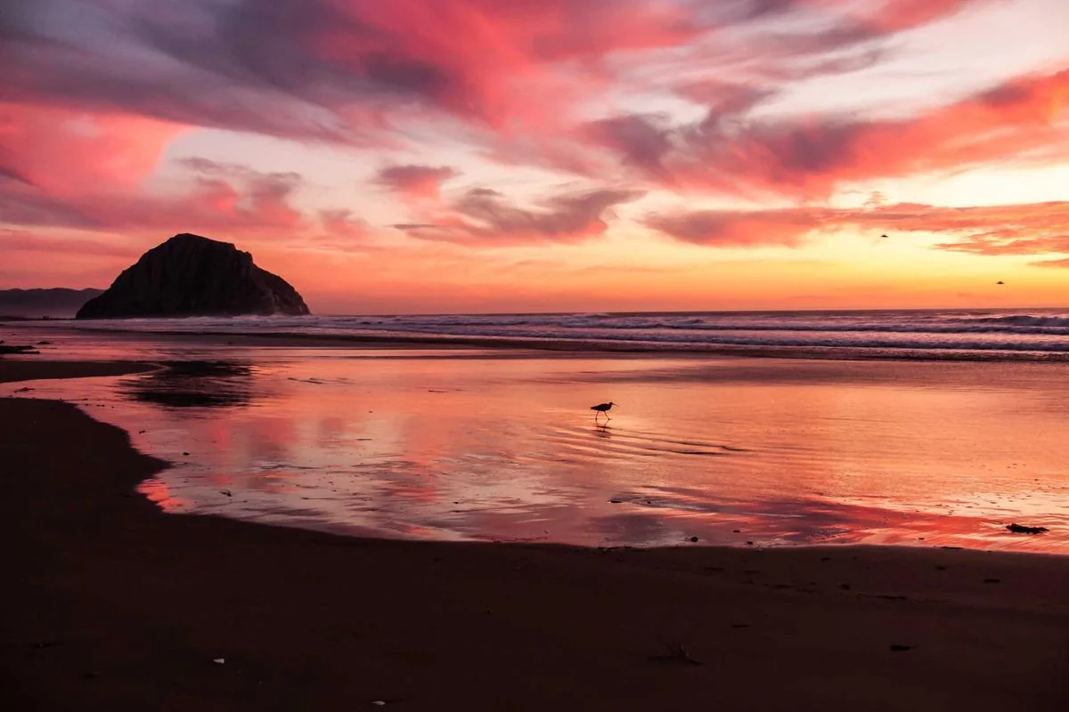 abonnement iptv 12 mois illustration and guide