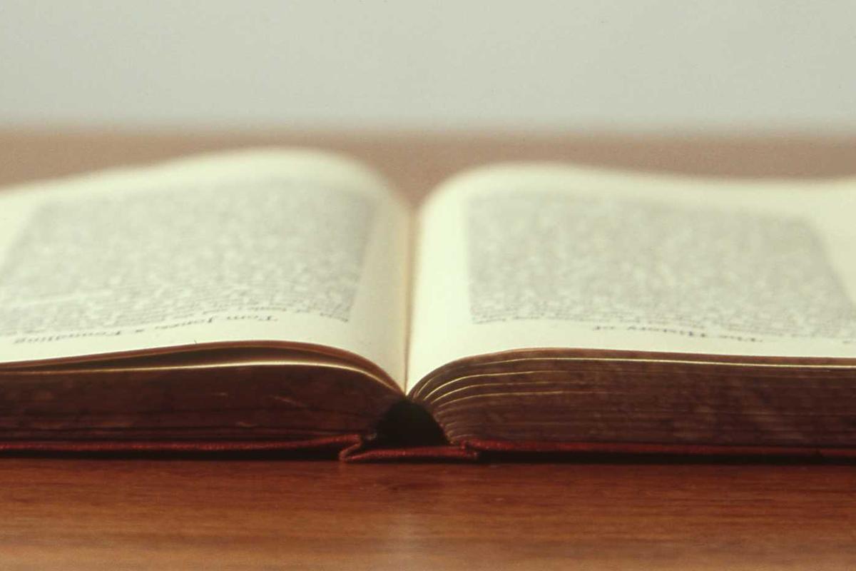 abonnement iptv trex illustration and guide