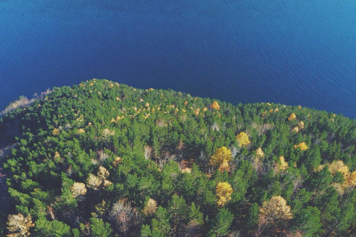 Box TV Android: 10 Best Models for Ultimate Streaming - box tv android