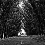 IPTV 12 Months: 9 Ultimate Benefits & Considerations - iptv 12 months