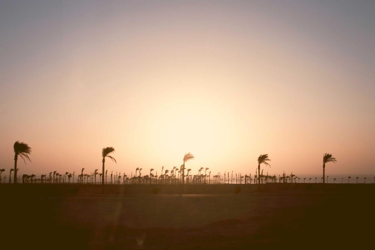 iptv illustration and guide