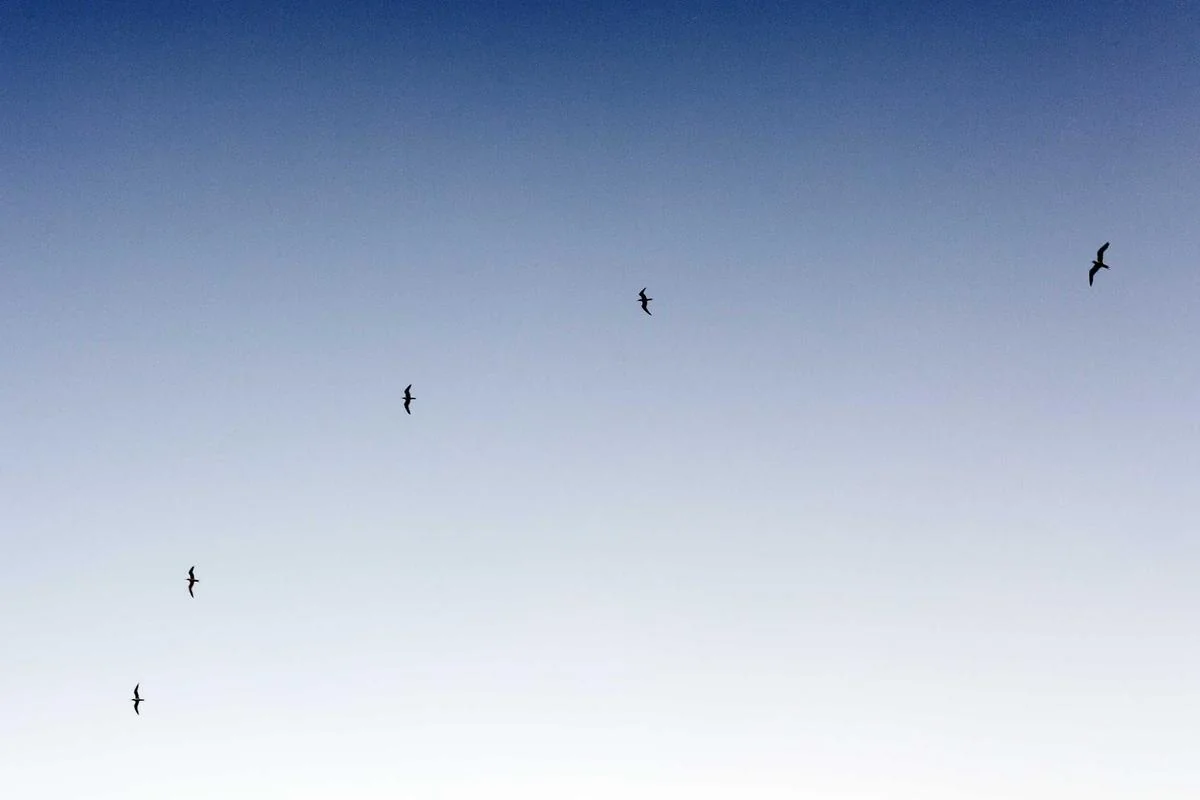 iptv    iptv illustration and guide