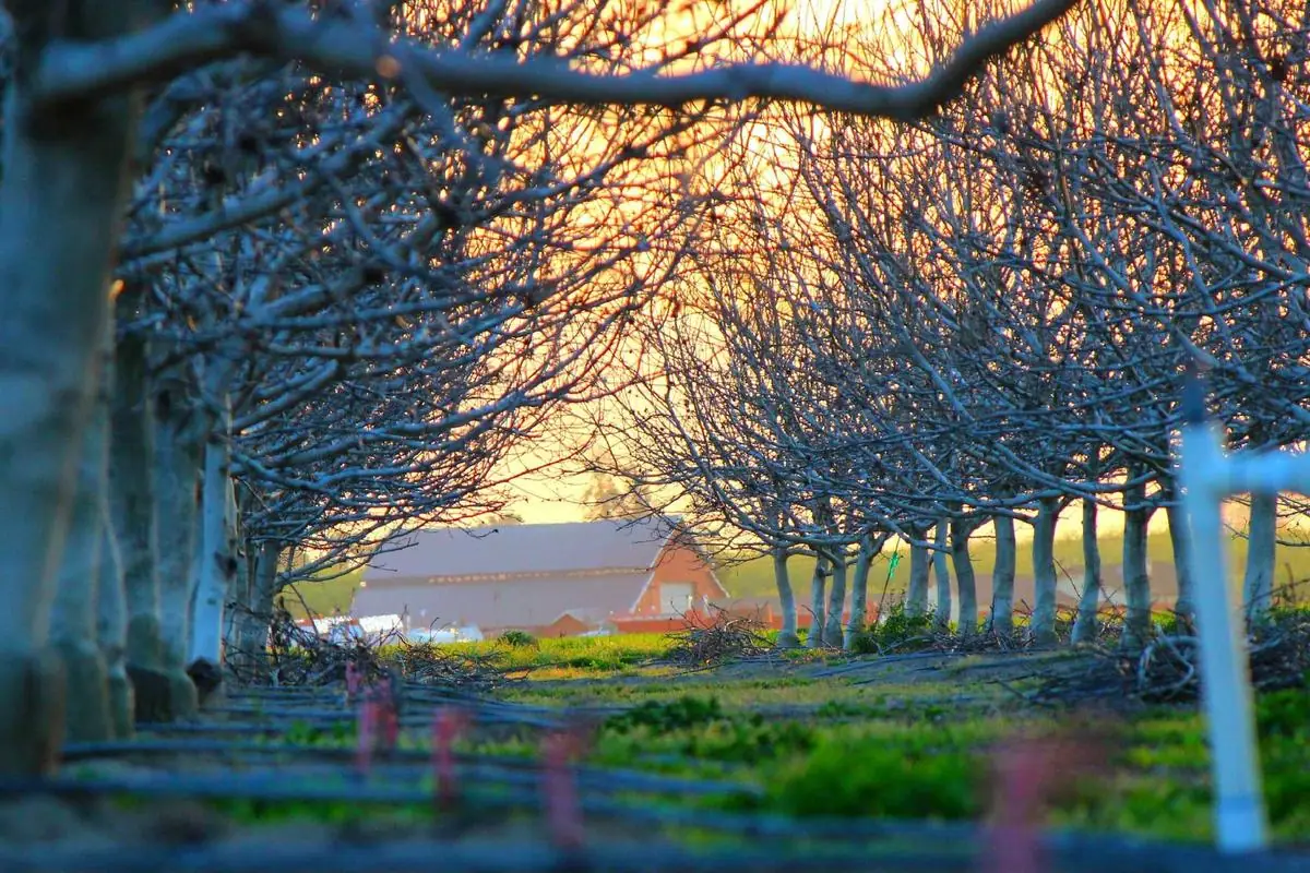 iptv account illustration and guide