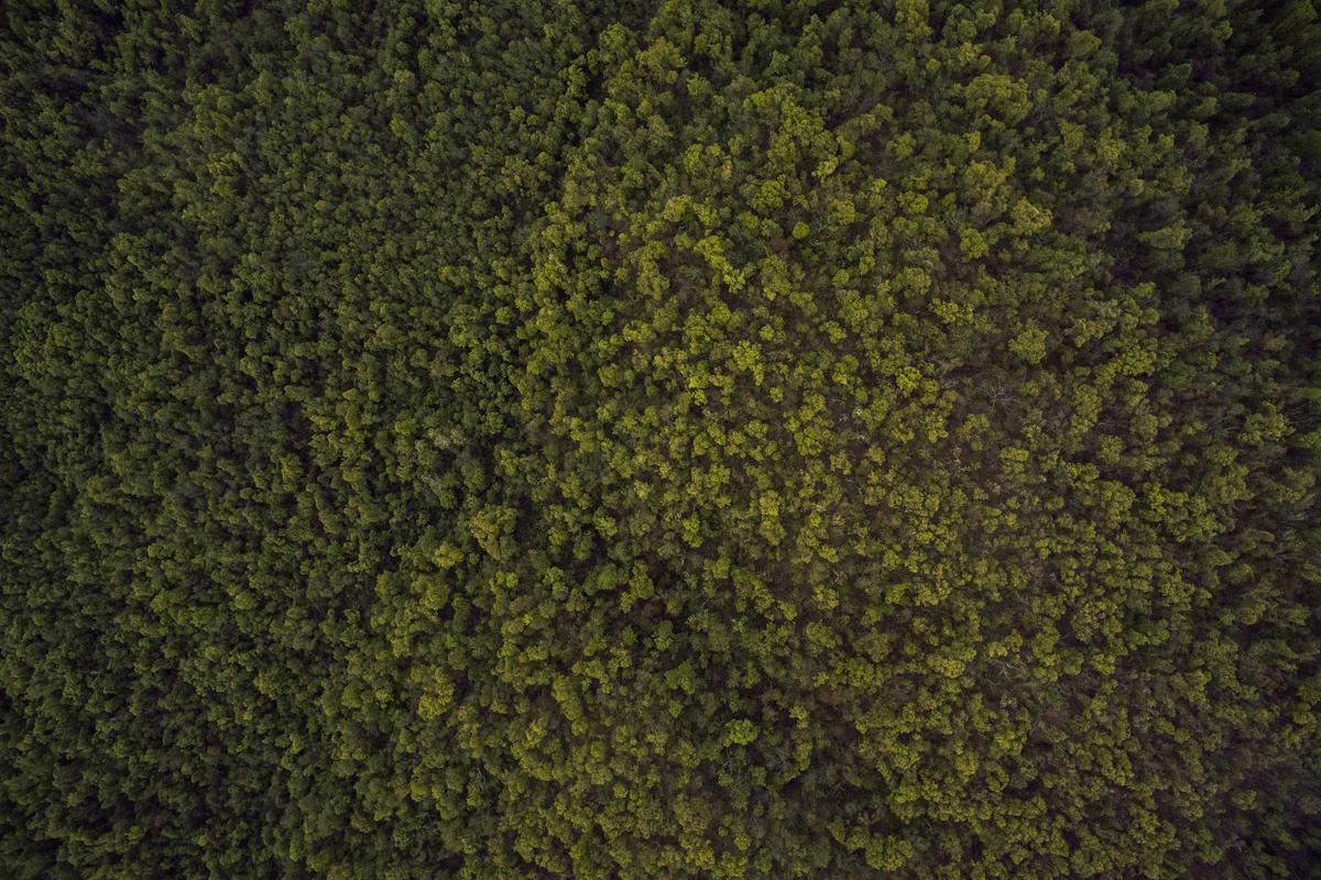 IPTV Albania 3 Device: 8 Best Services for 2024 - iptv albania 3 device