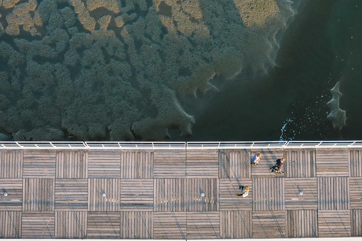 iptv albania illustration and guide