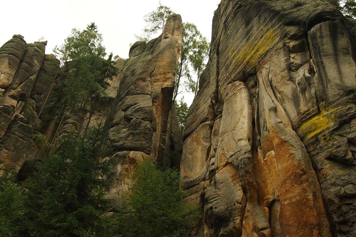 iptv box lan illustration and guide