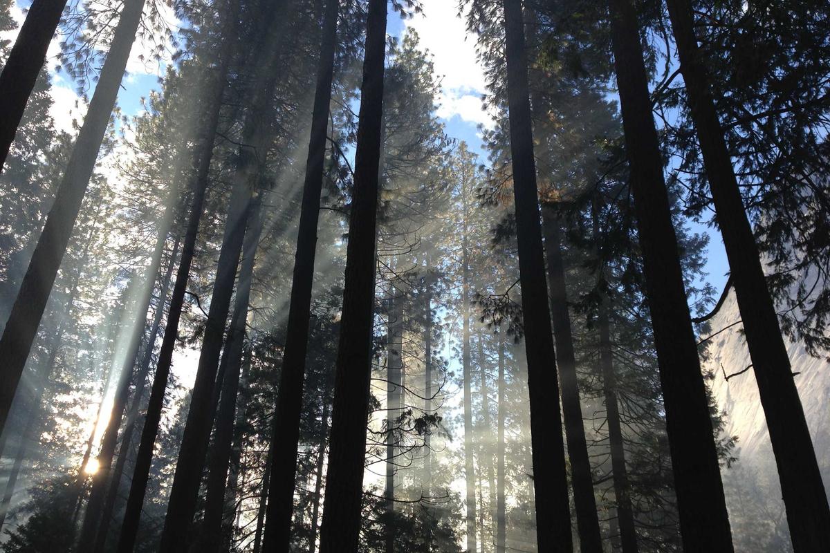 iptv code 12 months 30000 with arabic channel illustration and guide