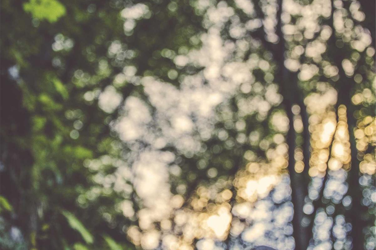 iptv code 12 months illustration and guide