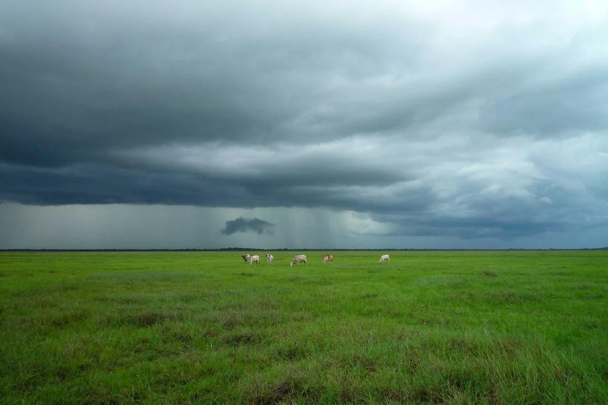 iptv code 12 months arabie illustration and guide