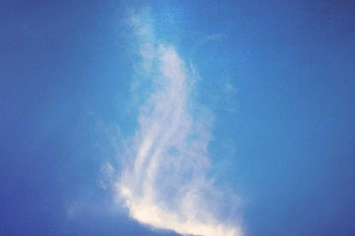 iptv content provider illustration and guide