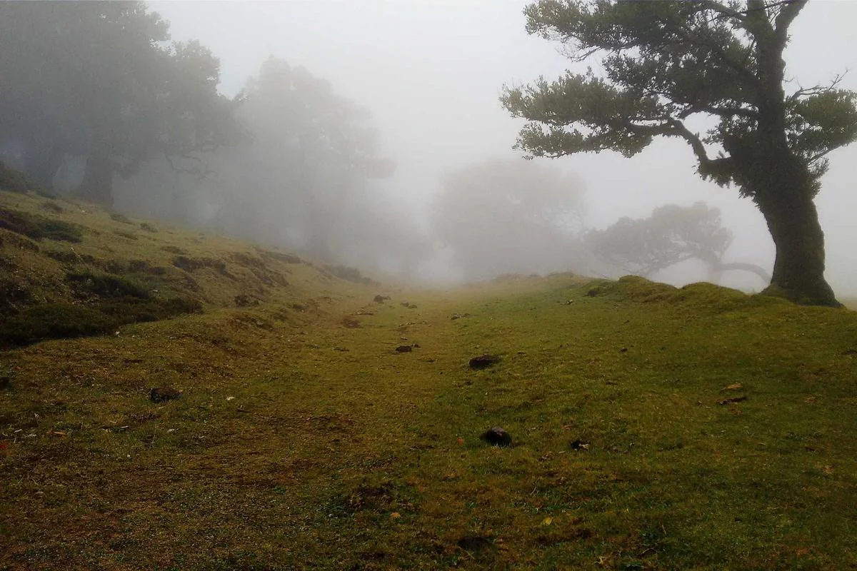 IPTV M3U Czech: 10 Best Sources for 2024: A Complete Guide - iptv m3u czech