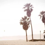 B1G IPTV: 10 Essential Tips for Ultimate Streaming - b1g iptv