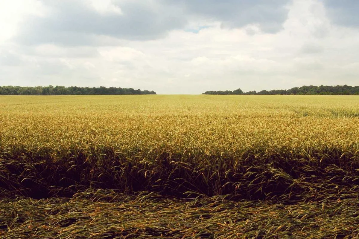 iptv franais illustration and guide