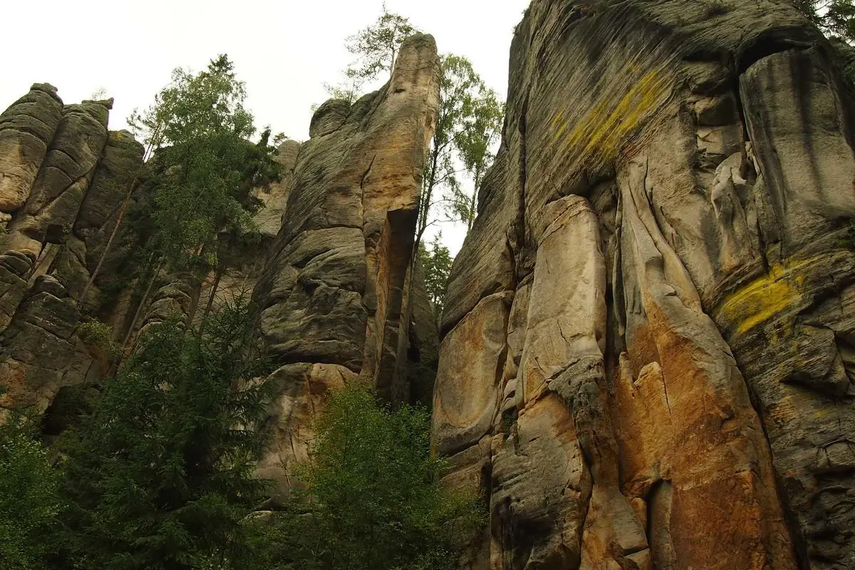 iptv france illustration and guide