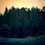 IPTV France: 8 Essential Tips for the Perfect Service - iptv france