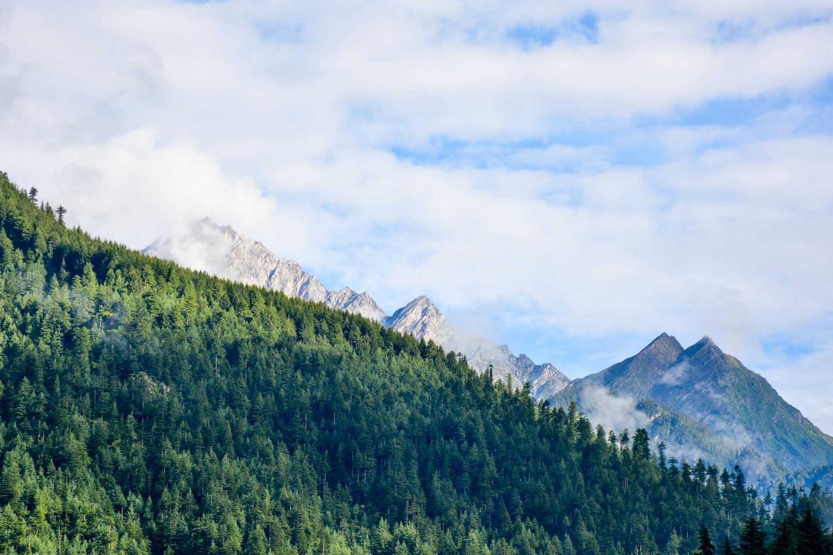 IPTV IPTV Bein Sport: 8 Ultimate Ways to Watch Live - iptv iptv bein sport