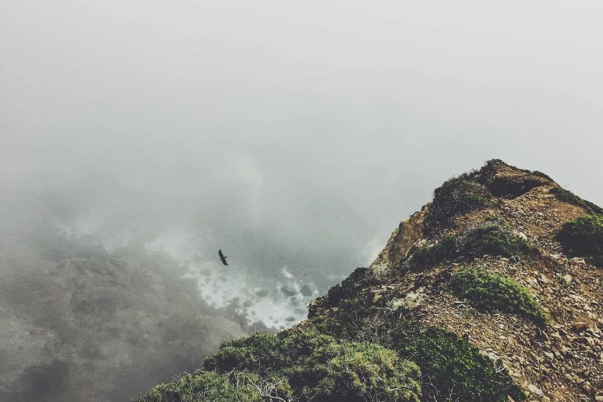 iptv latino illustration and guide