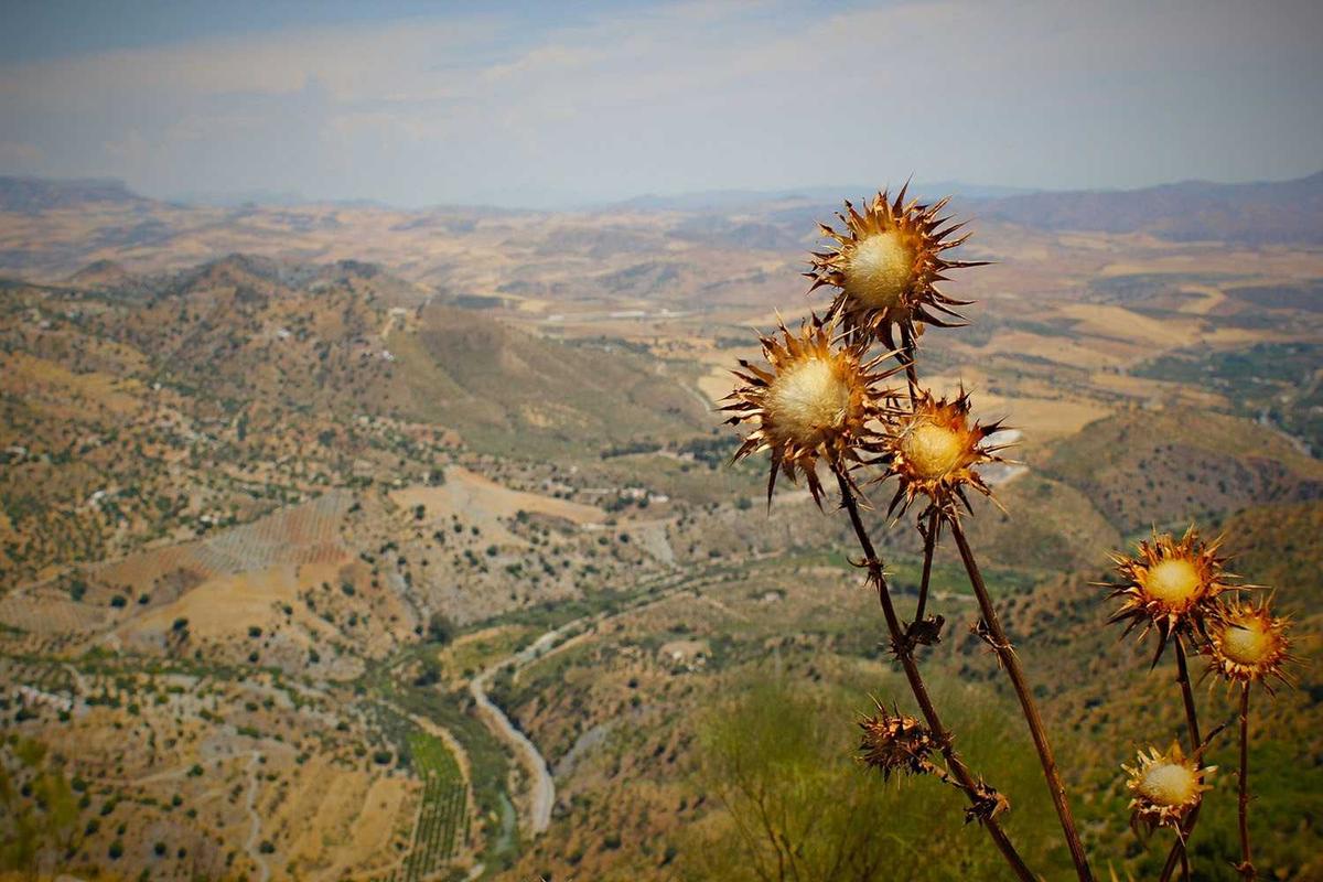 iptv list illustration and guide