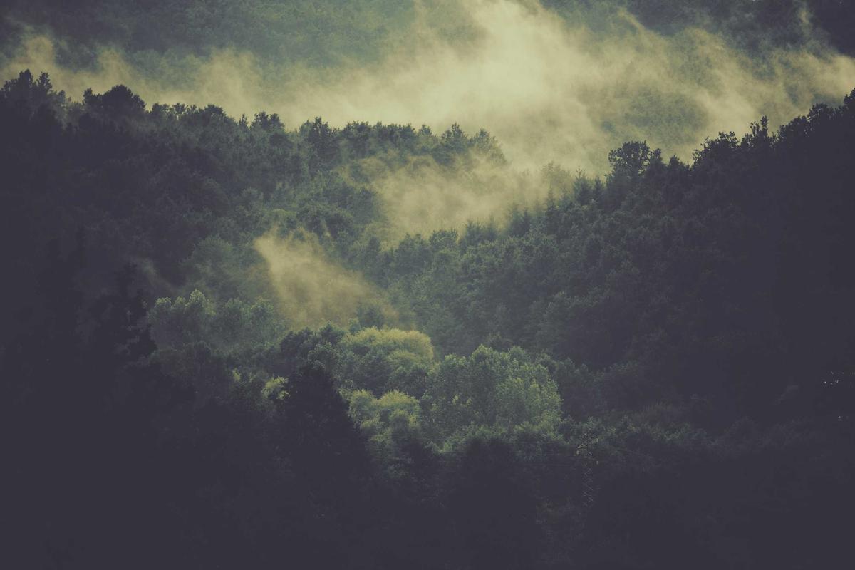 IPTV List: 10 Essential Sources for Streaming Success - iptv list