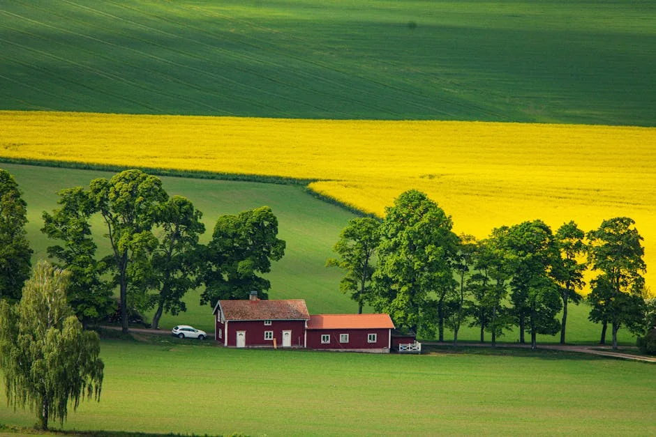 Captivating view of a red farmhouse amidst green and yellow fields in Gränna, Sweden. - iptv livego swedish