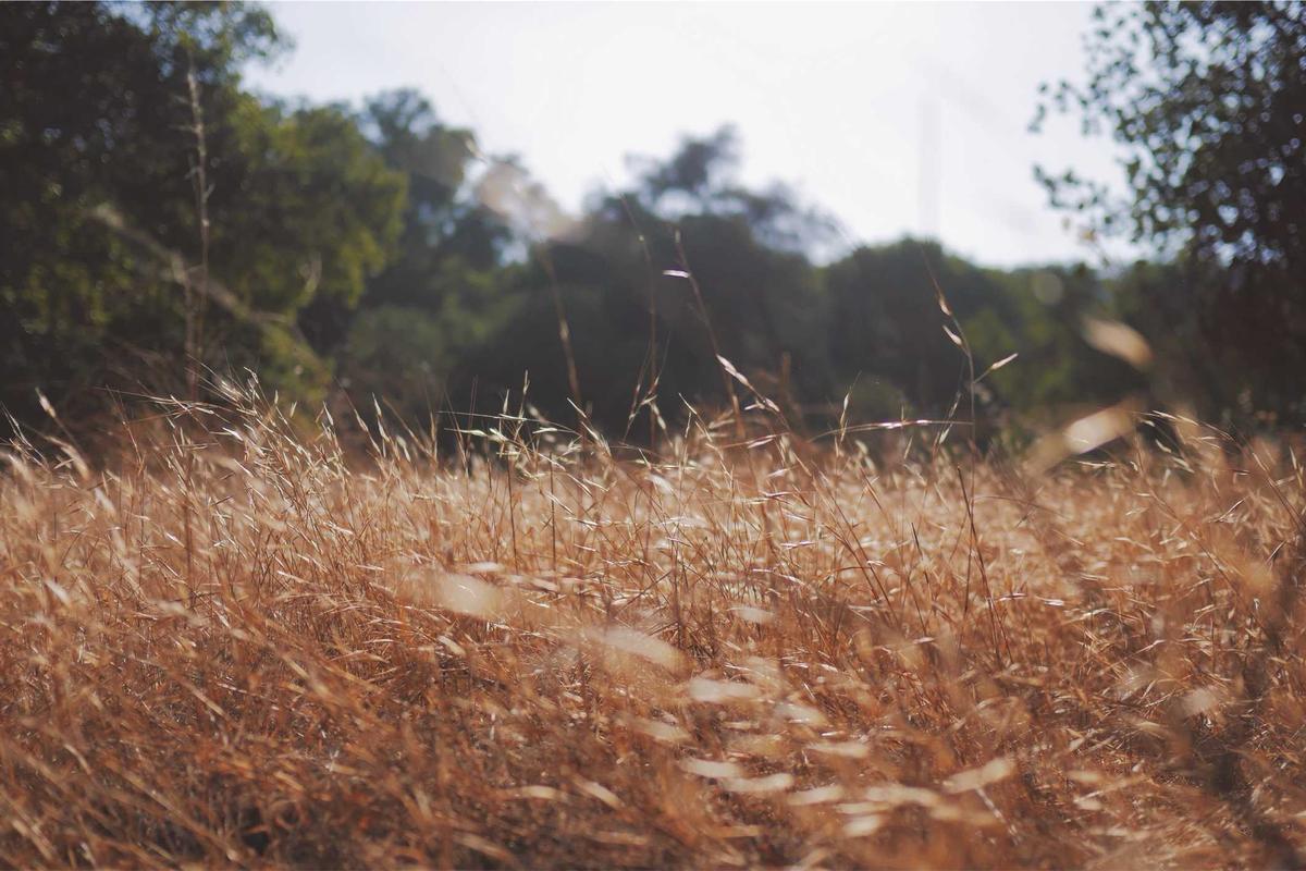 iptv m3u europe illustration and guide