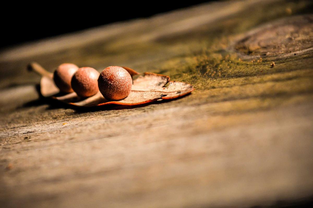 iptv m3u germany illustration and guide