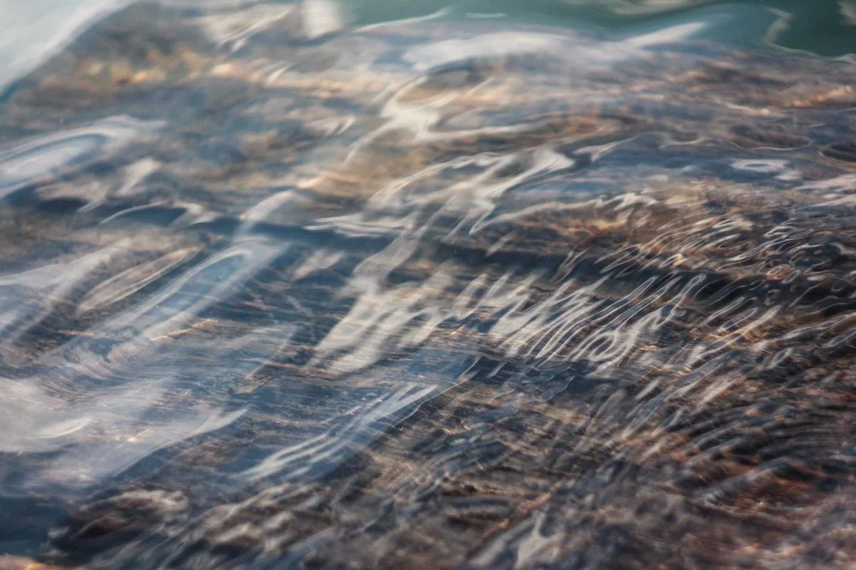 iptv pannello reseller illustration and guide