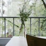 IPTV Provider: 10 Essential Tips for Choosing the Best - iptv provider