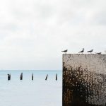 IPTV Service: 10 Best Providers for Ultimate Streaming - iptv service