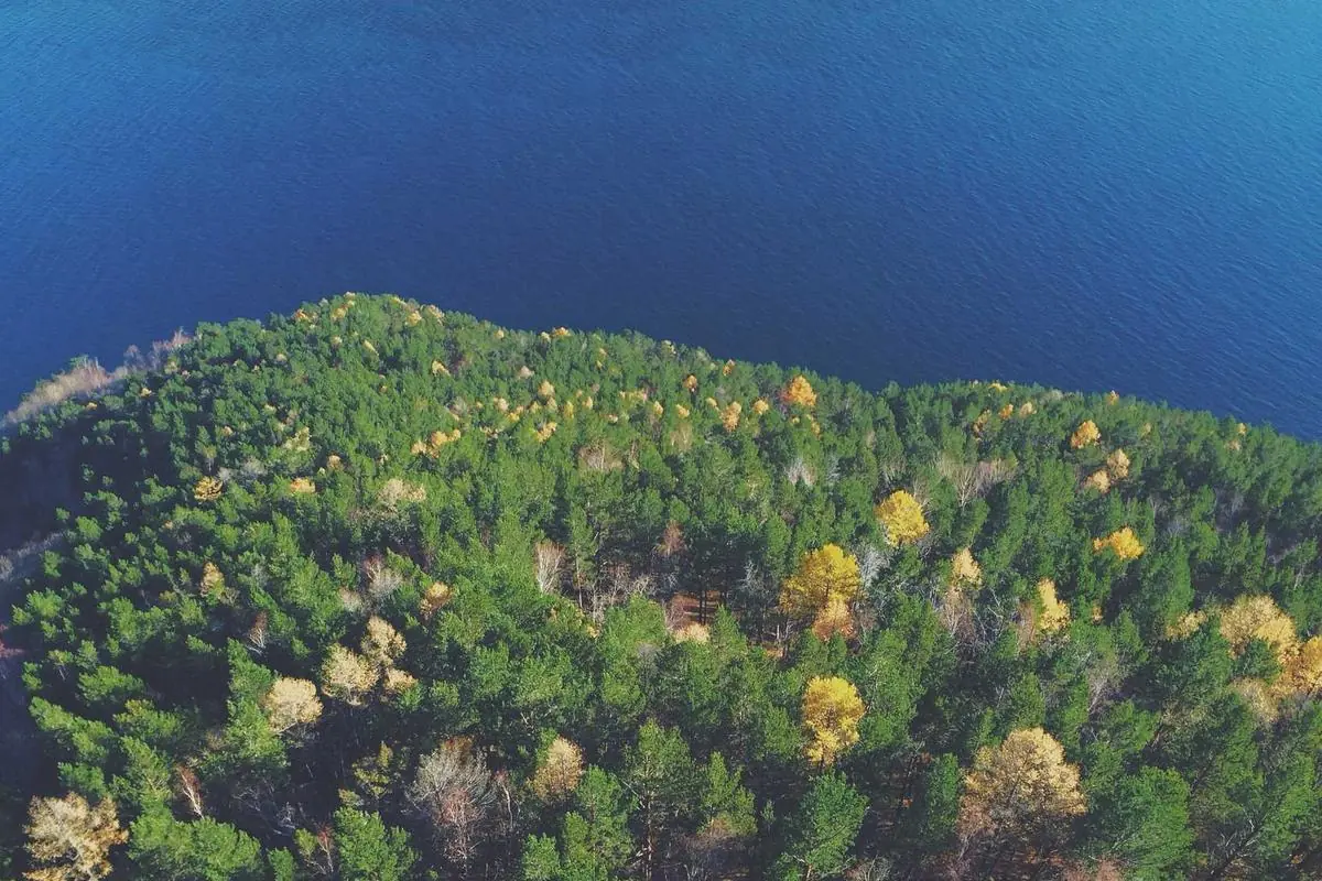 IPTV Strong: 15 Best Providers for Ultimate Streaming - iptv strong