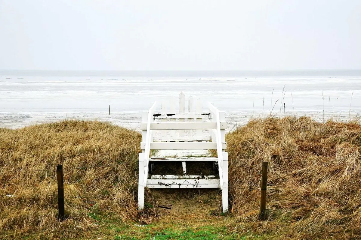 IPTV Subscriptions: 10 Best Services for Ultimate Streaming - iptv subscriptions