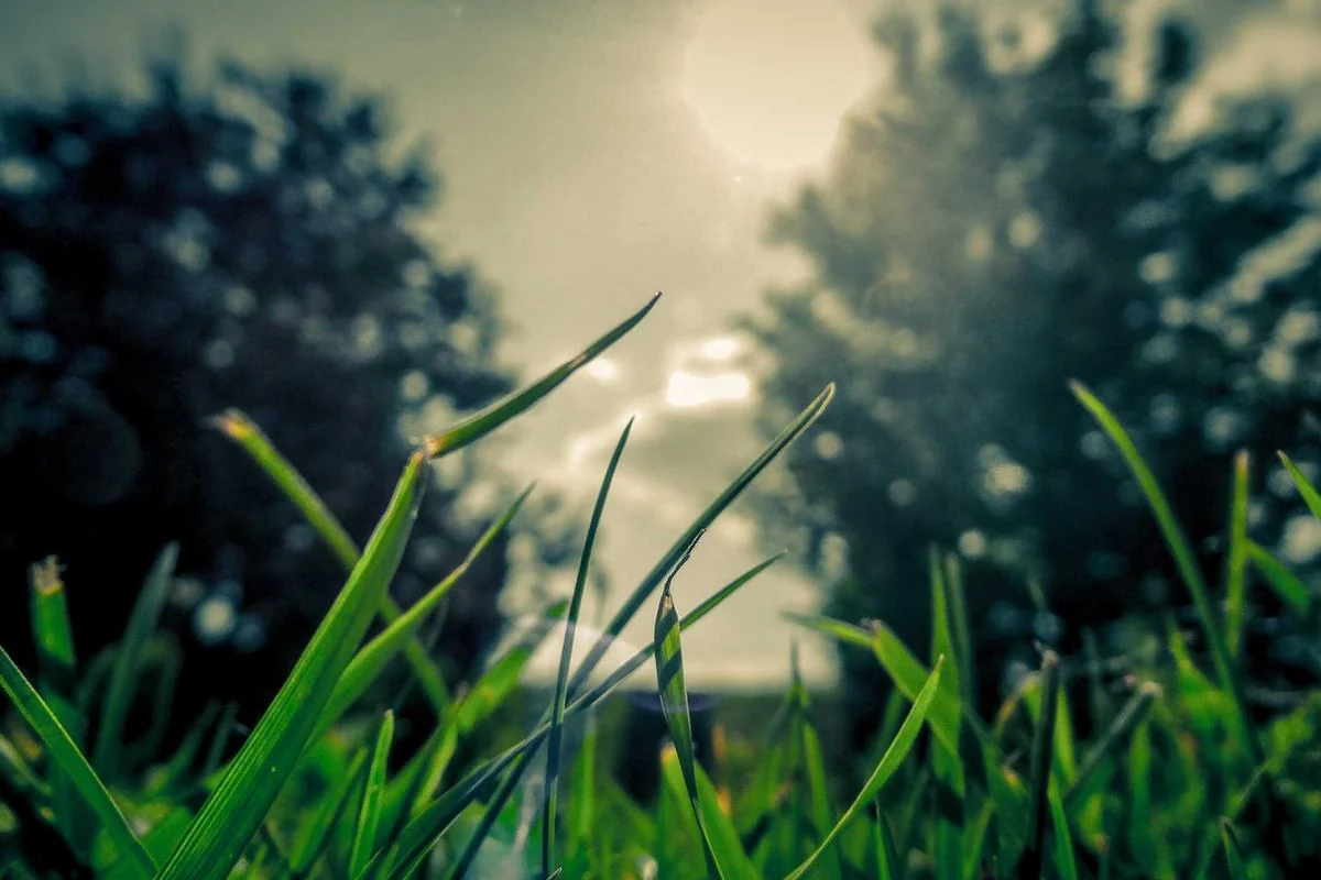 iptv test free 24h illustration and guide