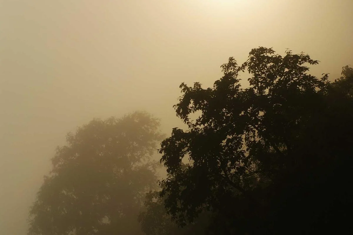 iptv trex 4k illustration and guide