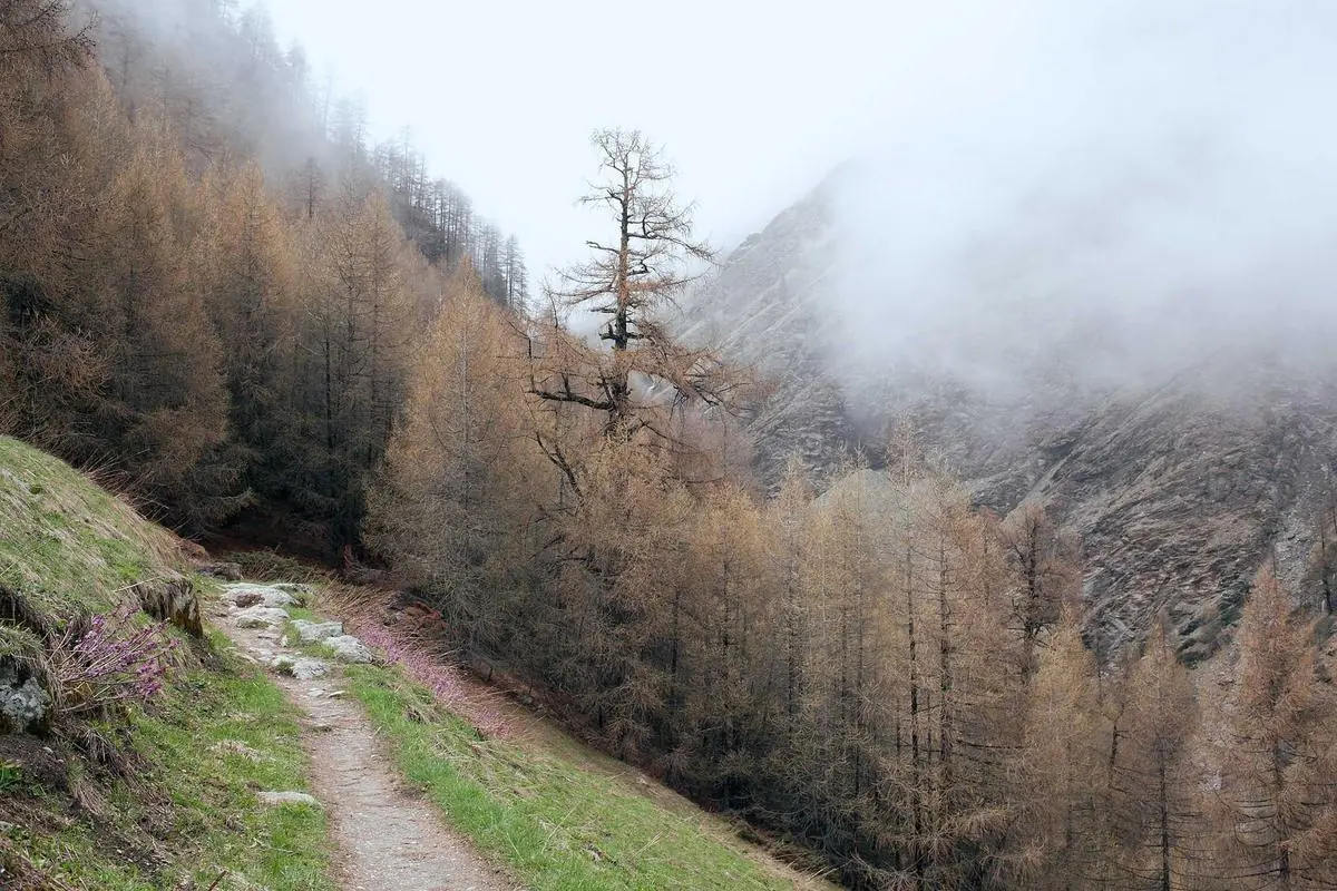 italian iptv m3u illustration and guide