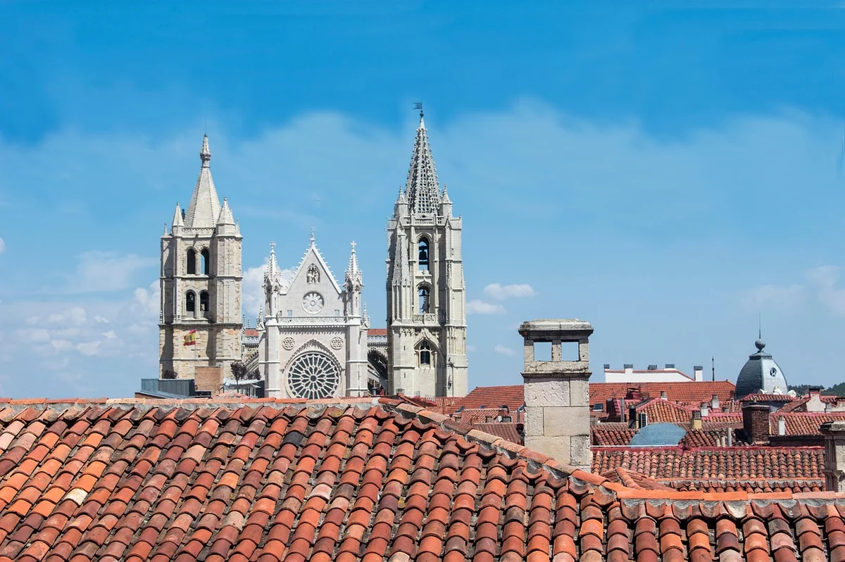 lion cathedral, lion, cathedral, nature, church, monument, history - lion iptv
