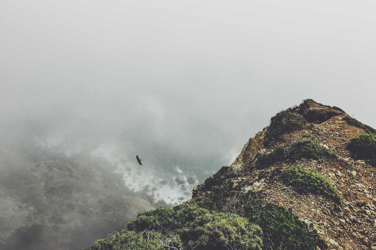 lion iptv illustration and guide