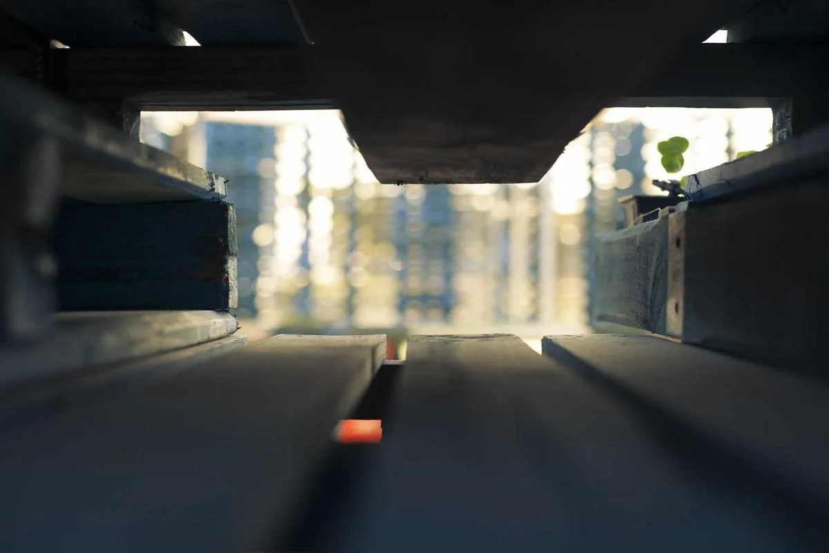 lion iptv illustration and guide