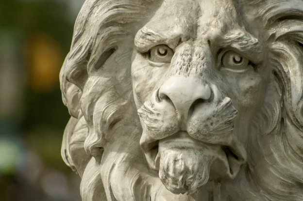 Lion iptv: Features, Setup, Pricing, and Guide: Expert Guide - lion iptv