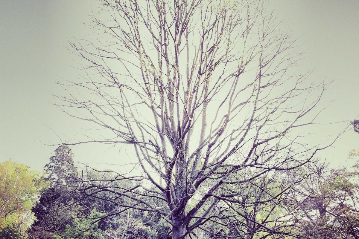 lista m3u iptv espaa prueba gratis illustration and guide