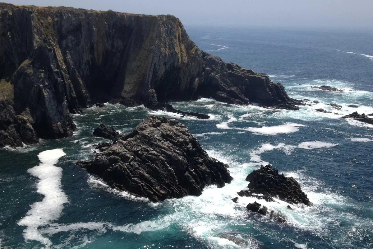 livego iptv illustration and guide