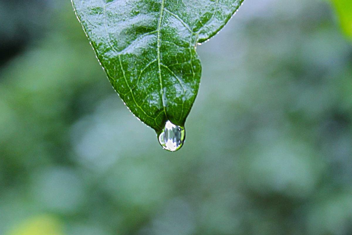 m3u iptv illustration and guide