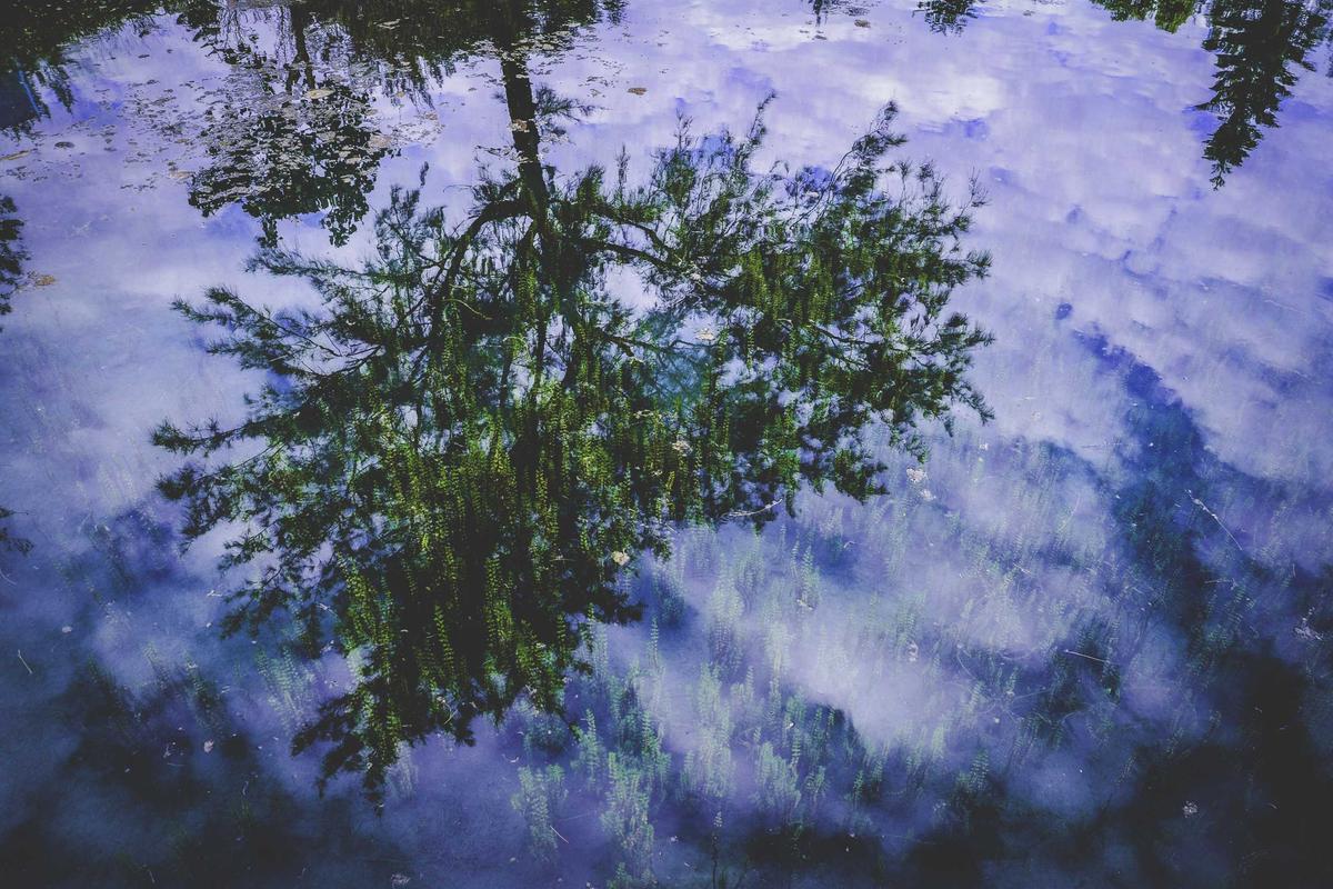 meilleur iptv illustration and guide