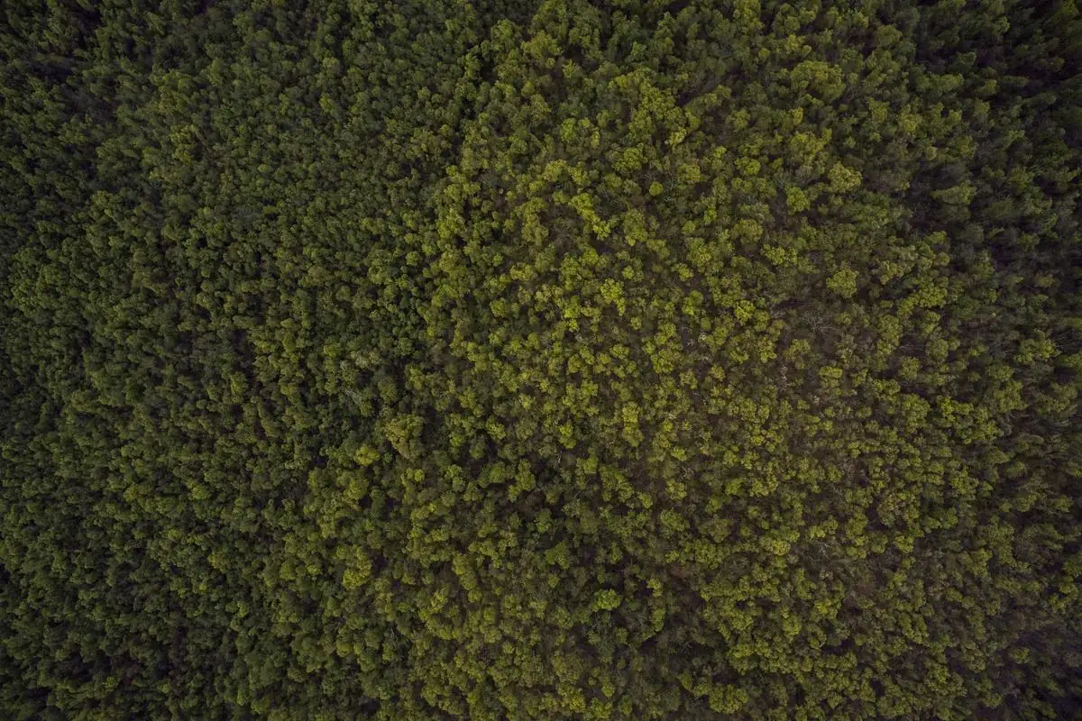 ott iptv m3u illustration and guide