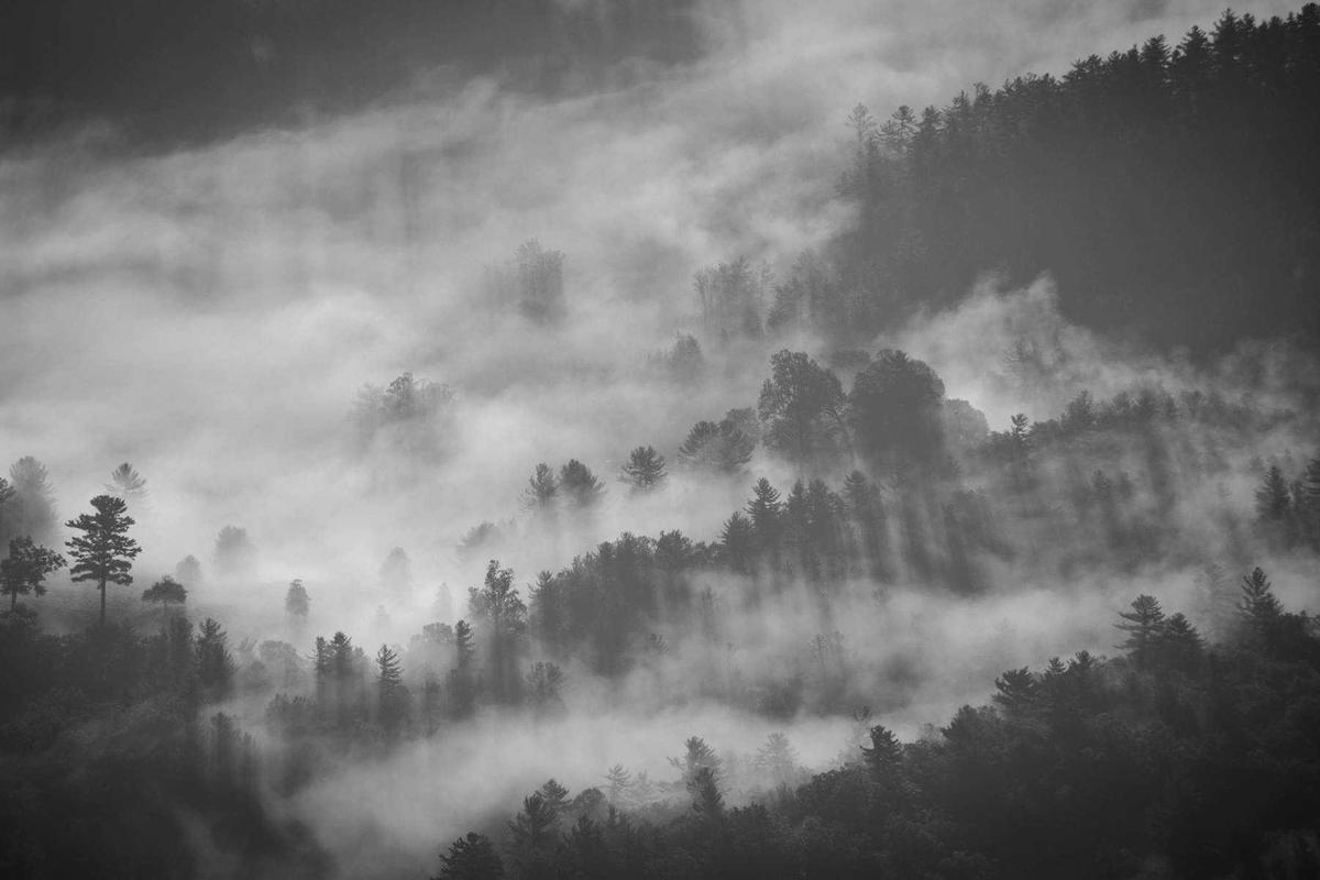 ott platinum iptv panel illustration and guide