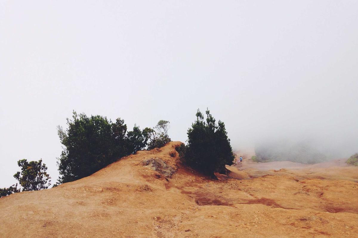 reseler control iptv illustration and guide