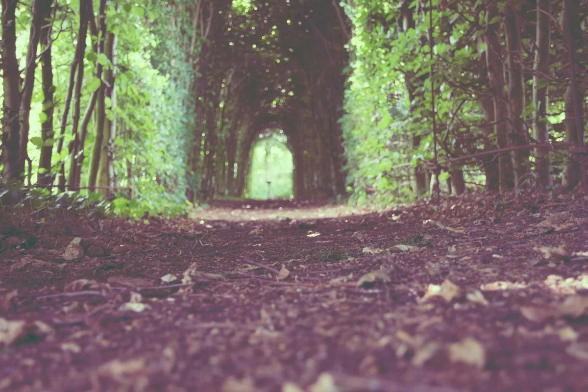 reseller panel iptv latino illustration and guide