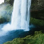 Trex iptv: T-Rex IPTV: 10 Best Features for Ultimate Streaming - trex iptv