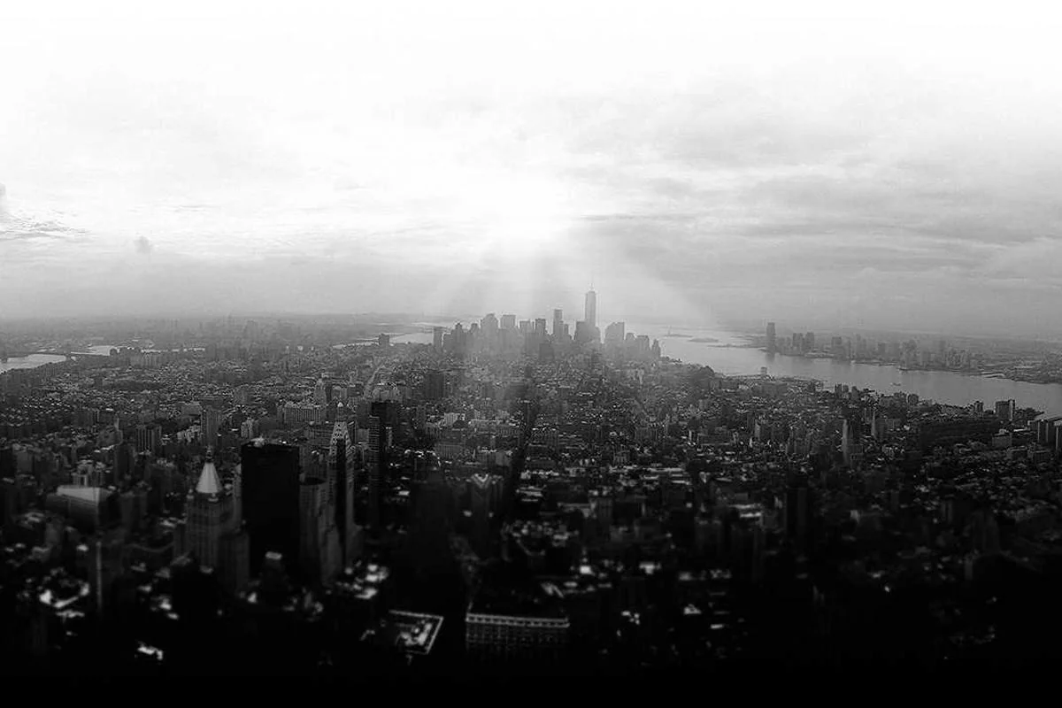 trex iptv poland illustration and guide