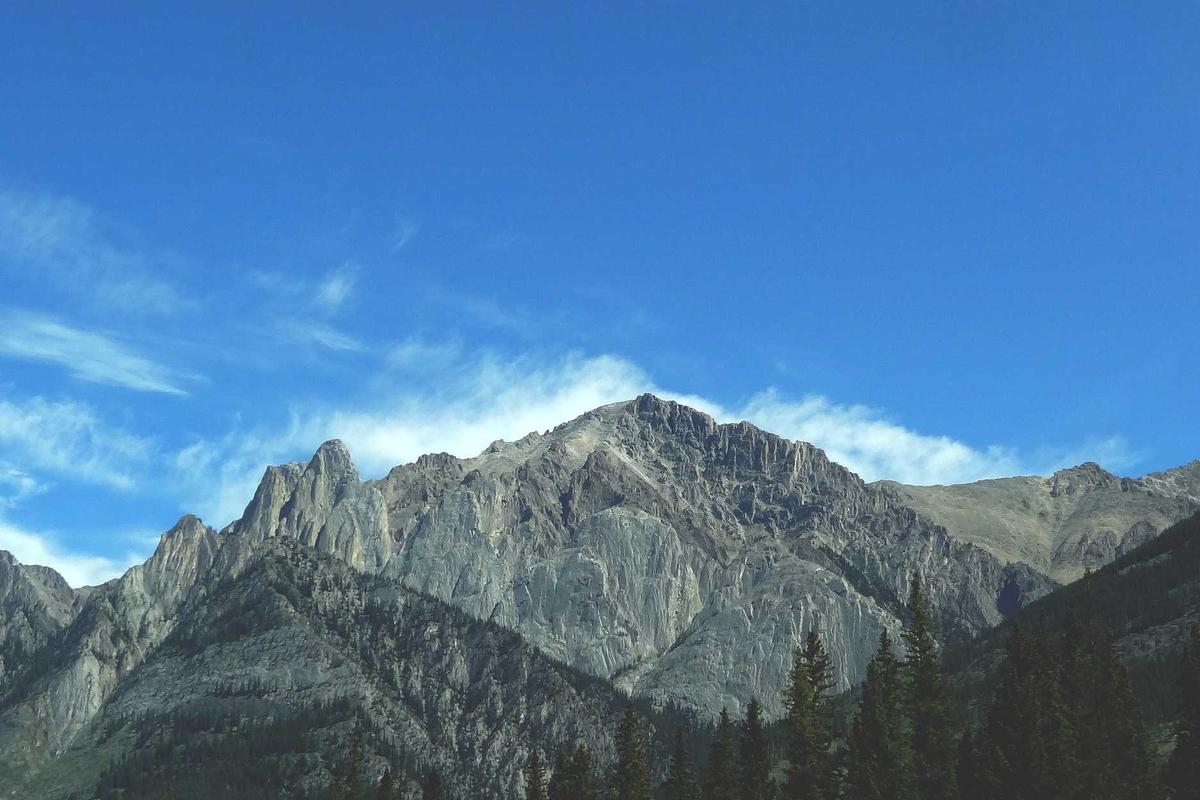 trex iptv poland illustration and guide